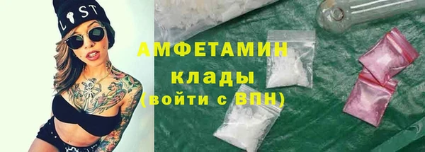 дживик Богородицк