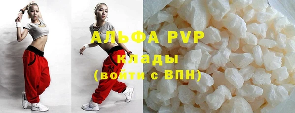 дживик Богородицк