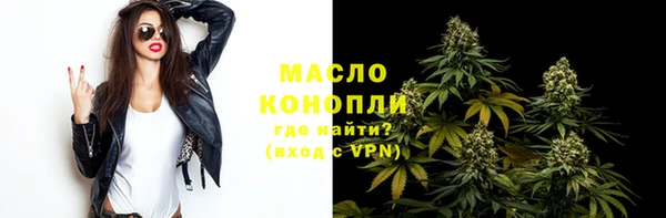 молекула духа Богородск
