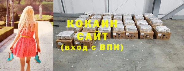 дживик Богородицк