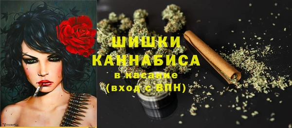 бошки Богданович