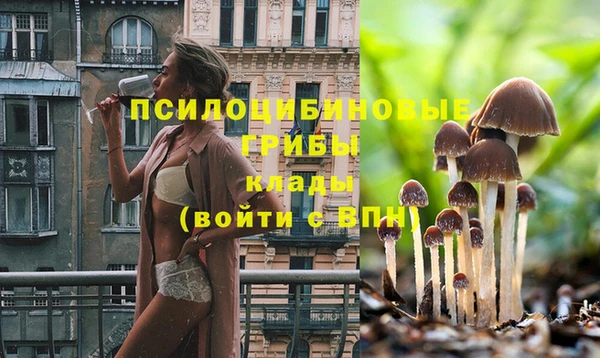 бошки Богданович