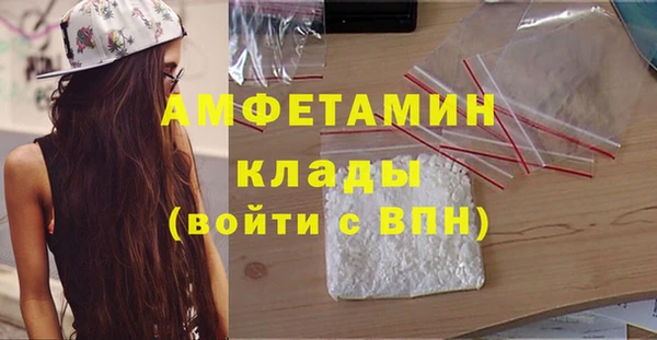 дживик Богородицк