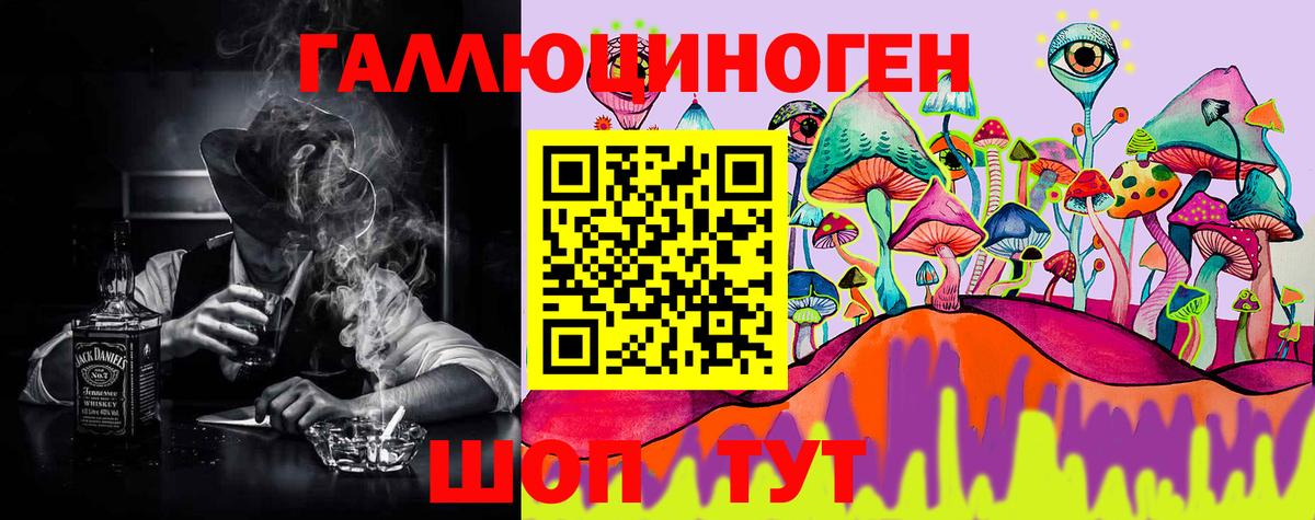 Верхний Уфалей  Галлюциногенные грибы Psilocybine cubensis  Вход с VPN 