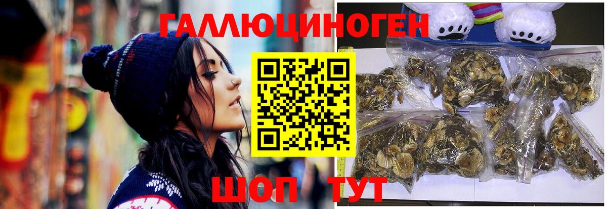 Псилоцибиновые грибы MAGIC MUSHROOMS Верхний Уфалей